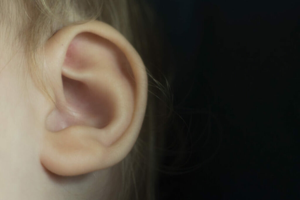 A person's left ear